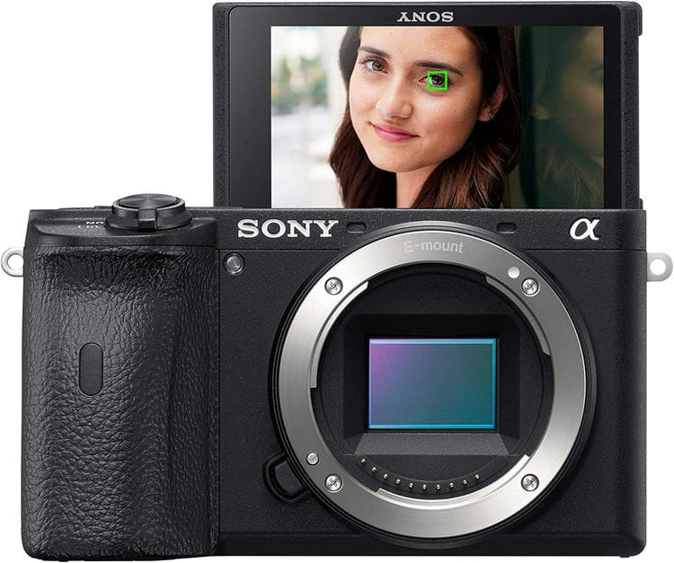 Sony A6600 Image Quality