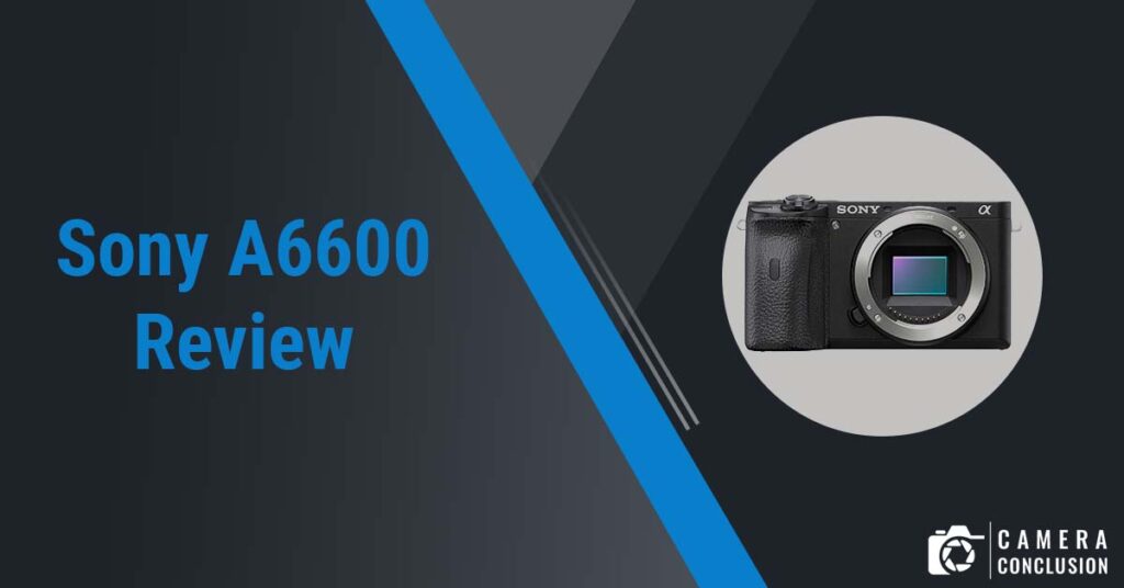 Sony A6600 Review