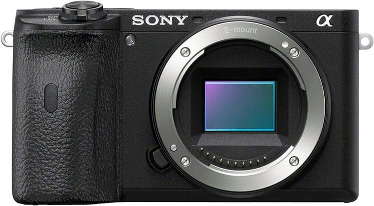Sony A6600