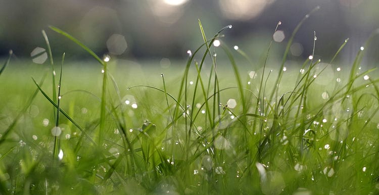 macro flash