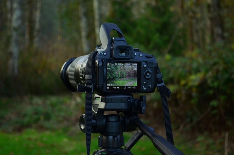 when Choosing tripod