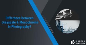 Difference between Grayscale and Monochrome in Photography? - Camera ...