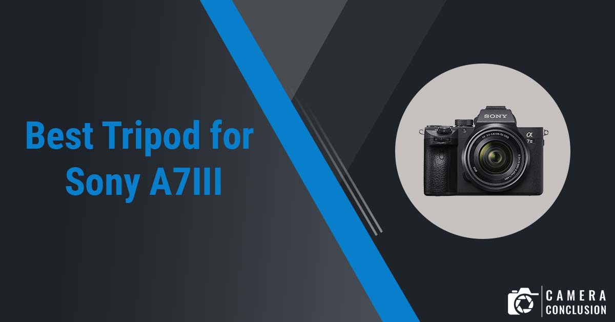 7 Best Tripod for Sony A7III of 2023 Camera Conclusion