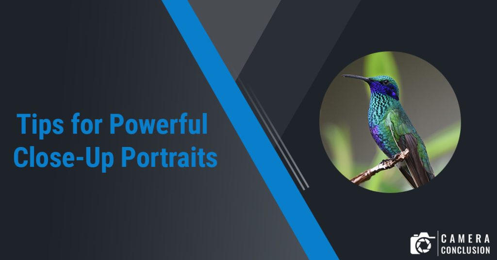 Tips for Powerful Close-Up Portraits